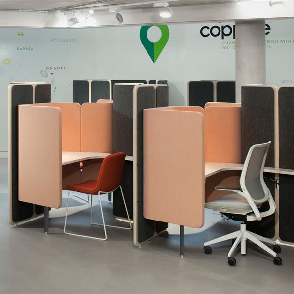 coppice 5